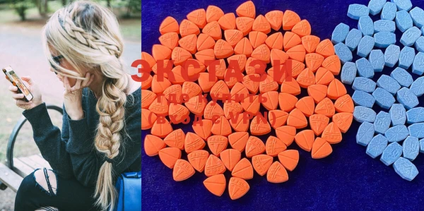 ECSTASY Болотное