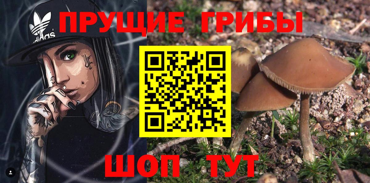 Галлюциногенные грибы Magic Shrooms Раменское