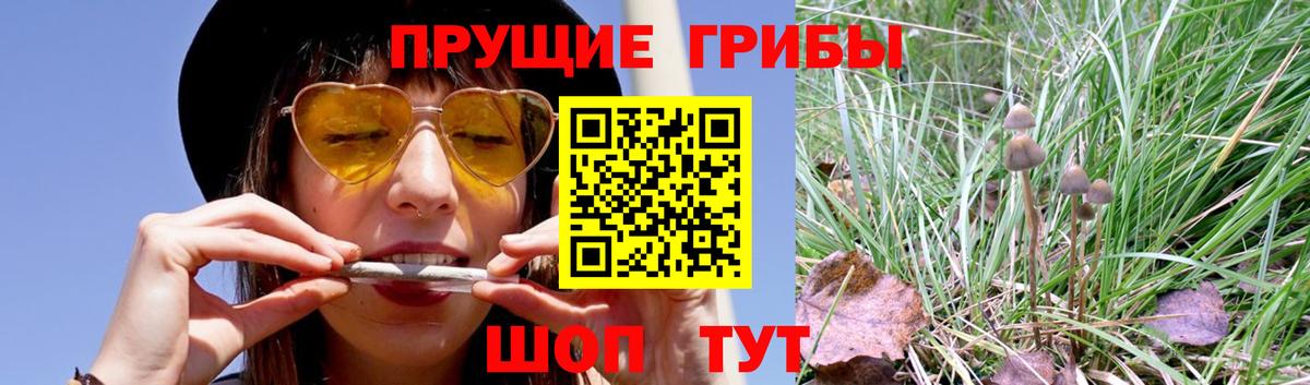 Псилоцибиновые грибы мухоморы  Вход с VPN  Раменское  Галлюциногенные грибы мицелий 